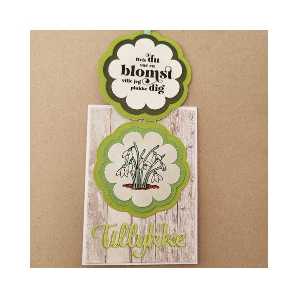 Danske Streger Clearstamp "Forår" DSD005