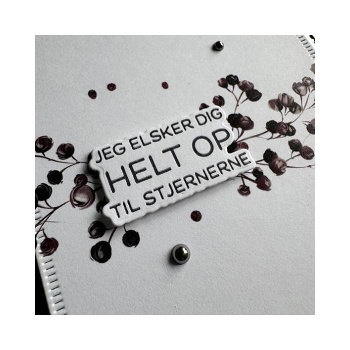 Simple and Basic Press Plate + Dies “Du er en stjerne" SBH034